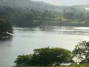 The Nile from above the Jinja Rapids