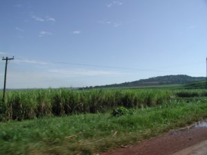 A Good Snapshot of the Terrain Between Kampala and Jinja