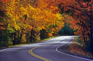 fall-foliage-01-g