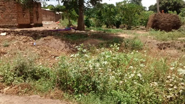 holeforbricks