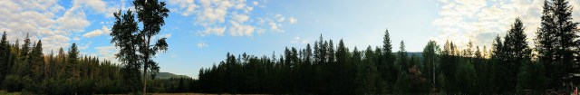 IMG_20180831_071611305 (1)