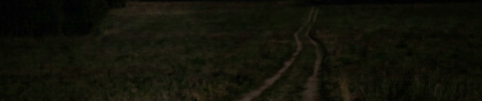 Person walking along a dark country path toward a distant light