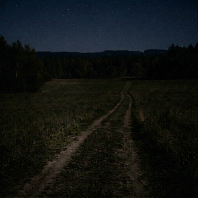 Person walking along a dark country path toward a distant light